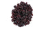Cranberries